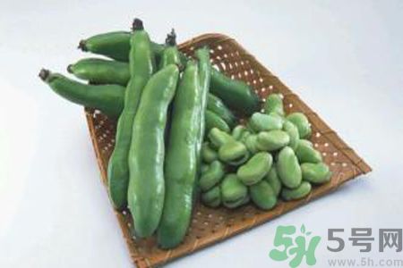 蠶豆是熱性還是涼性？蠶豆是熱性的嗎？