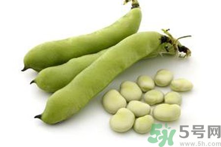 寶寶可以吃蠶豆嗎？寶寶多大可以吃蠶豆？