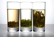 茯苓和苦丁茶能一起泡嗎？茯苓可以和苦丁茶一起喝嗎？