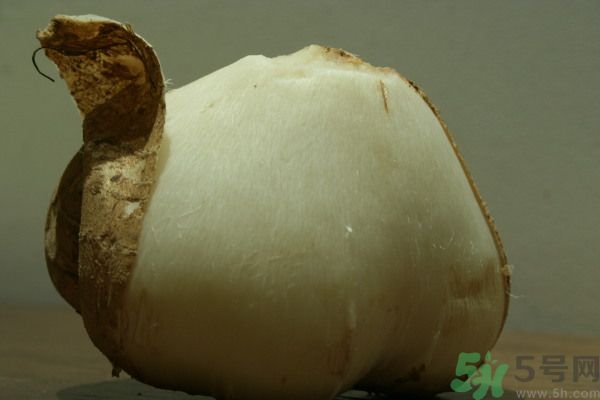 涼薯吃多了好嗎？地瓜吃多了會上火嗎？