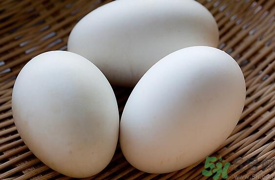 鵝蛋可以清火嗎？鵝蛋可以降火嗎？