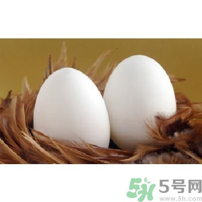 鵝蛋可以清火嗎？鵝蛋可以降火嗎？