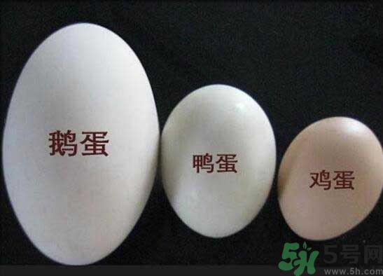 鵝蛋和鴨蛋哪個(gè)好？鵝蛋和鴨蛋哪個(gè)清火效果好？