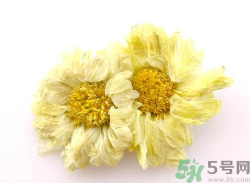 菊花晶能喝綠豆湯一起喝嗎？菊花晶和綠豆湯可以一起喝嗎？