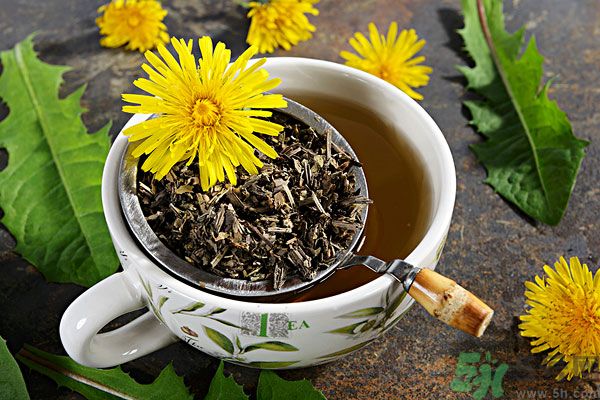 蒲公英泡茶有什么功效？蒲公英泡茶的功效是什么？