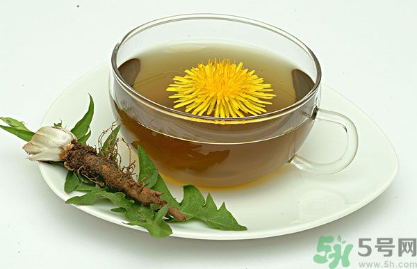 蒲公英根泡茶好還是蒲公英葉泡茶好？蒲公英根和葉哪個(gè)效果好？