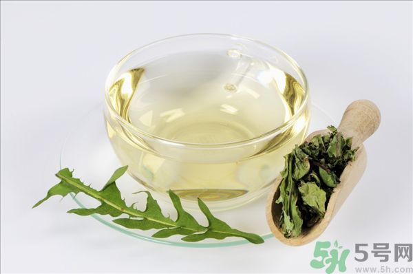蒲公英根泡茶好還是蒲公英葉泡茶好？蒲公英根和葉哪個(gè)效果好？