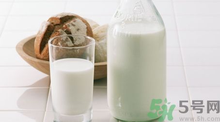 金銀花露可以和牛奶一起沖嗎?