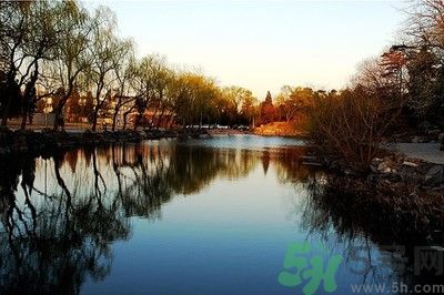 清華取消北大培文杯非原創(chuàng)考生自招資格是怎么回事？