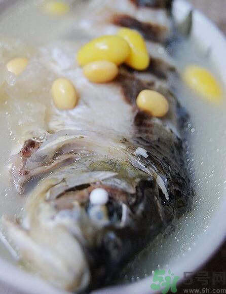 夏天吃黃豆好嗎？夏天吃黃豆有什么好處？
