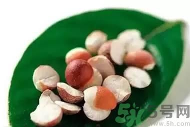 夏天吃芡實(shí)好嗎？夏天吃芡實(shí)有什么好處？