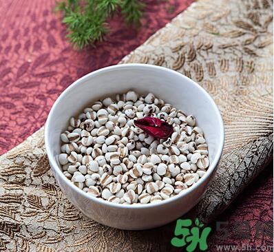 夏天吃薏米好嗎？夏天吃薏米有什么好處？