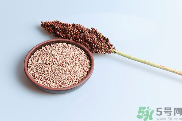 夏天吃高粱好嗎？夏天吃高粱有什么好處？