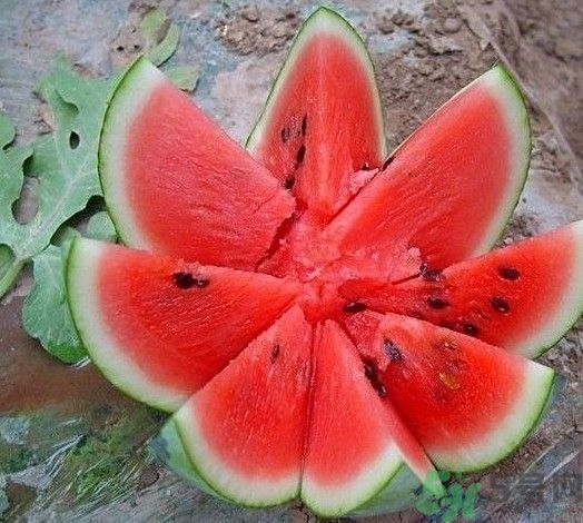 方形西瓜可以吃嗎？方形西瓜有什么好處？