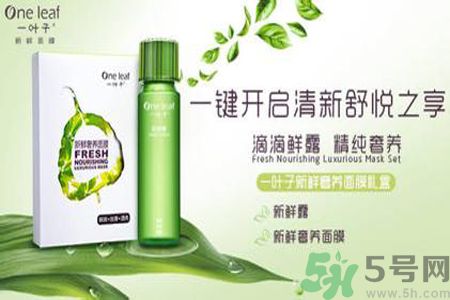 一葉子鮮補(bǔ)水保濕眼霜適合什么膚質(zhì)？