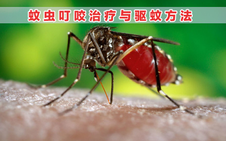 驅蚊噴霧的原理 驅蚊噴霧的正確使用方法