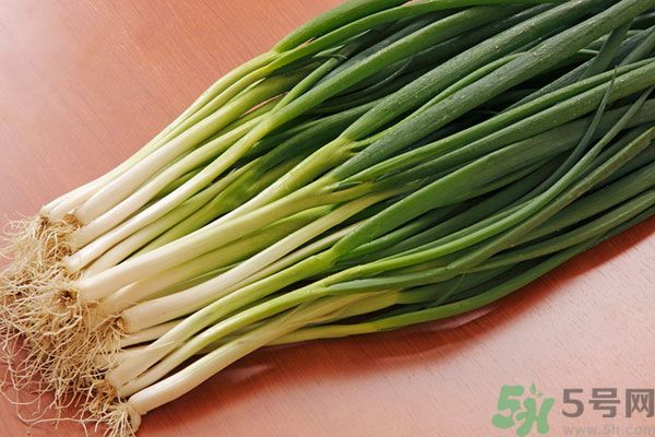 夏天上火能吃蔥嗎？夏天吃蔥會(huì)不會(huì)上火？