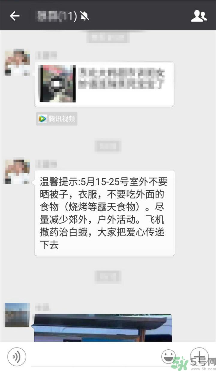 為什么15-25號(hào)不要曬被子？什么是美國(guó)白蛾？