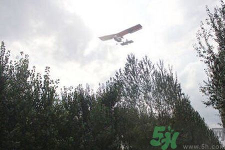 為什么15-25號(hào)不要曬被子？什么是美國(guó)白蛾？