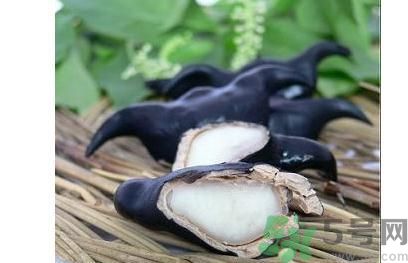 菱角怎么剝完整？菱角剝不開怎么辦？