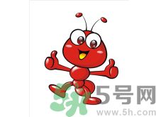 家里有螞蟻怎么辦？驅(qū)除螞蟻的方法是什么？