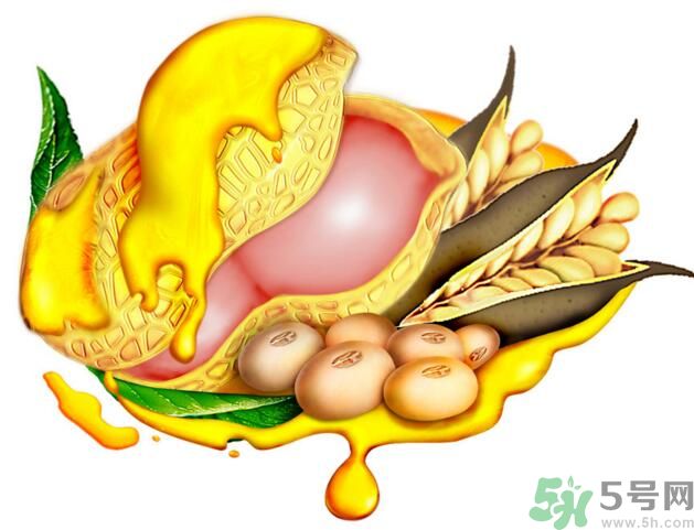 夏天吃哪種油好？什么油適合夏天吃？