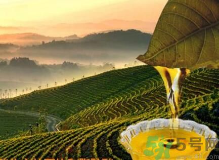 茶籽油可以天天吃嗎？可以每天用茶籽油炒菜嗎？