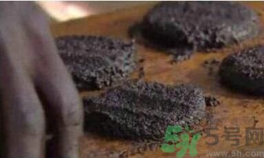 蚊子可以吃嗎？吃蚊子會怎么樣？
