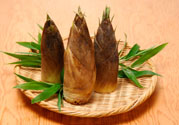 減肥能吃竹筍嗎？吃竹筍會胖嗎？