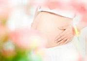 孕婦可以喝米茶嗎？懷孕可以喝米茶嗎？
