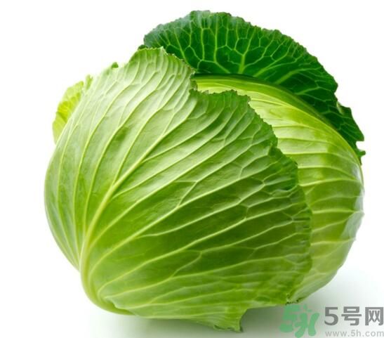 包菜可以放冰箱嗎？包菜怎么保存？