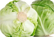 包菜根可以吃嗎？包菜根能不能吃？
