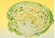 包菜是酸性還是堿性?包菜是堿性的嗎?