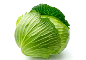 包菜是涼性的嗎？包菜是涼性還是熱性的？