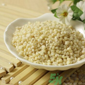 高粱米是涼性嗎？高粱米是涼性還是熱性？