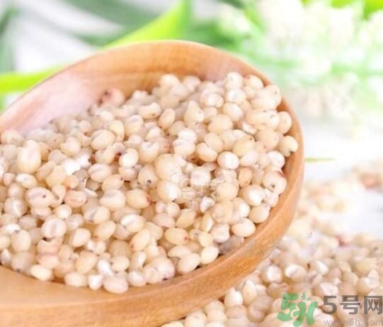 高粱米是發(fā)物嗎？高粱米是不是發(fā)物？