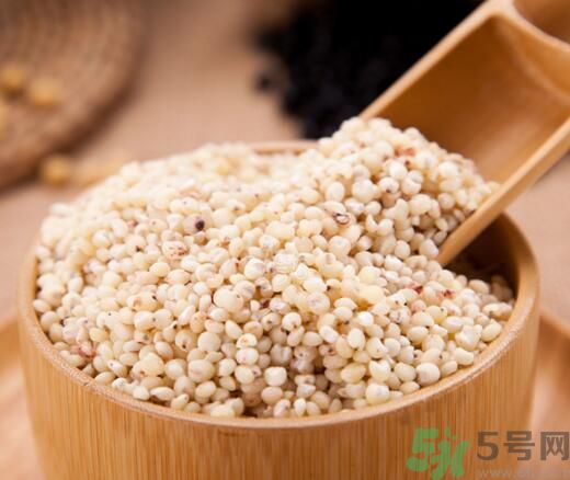 高粱米是發(fā)物嗎？高粱米是不是發(fā)物？