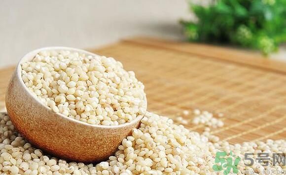 吃高粱米能減肥嗎？吃高粱米有減肥作用嗎？