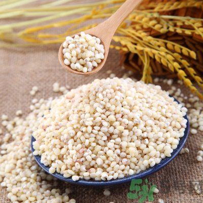高粱米能做飯嗎？高粱米做飯好嗎？