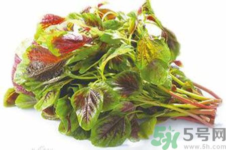 孕婦可以吃漢菜嗎？懷孕可以吃漢菜嗎？