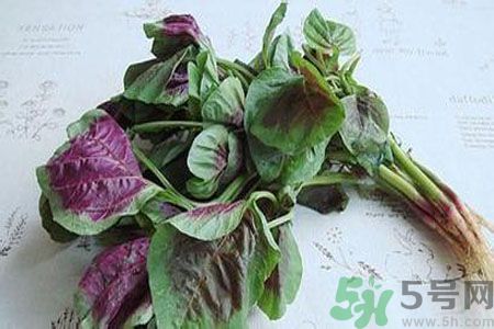 寶寶可以吃漢菜嗎？寶寶吃漢菜好嗎？