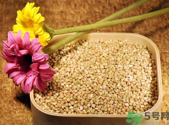 蕎麥是發(fā)物嗎？蕎麥是不是發(fā)物？