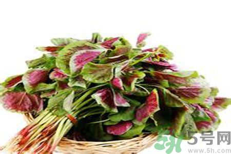 胃不好可以吃莧菜嗎？胃不好吃莧菜好嗎？