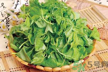 胃不好可以吃莧菜嗎？胃不好吃莧菜好嗎？