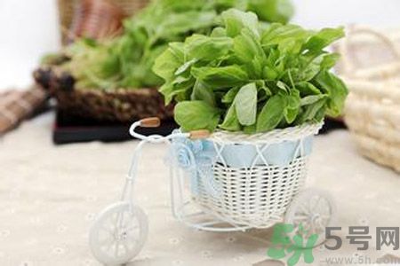 糖尿病可以吃莧菜嗎？糖尿病吃莧菜好嗎？