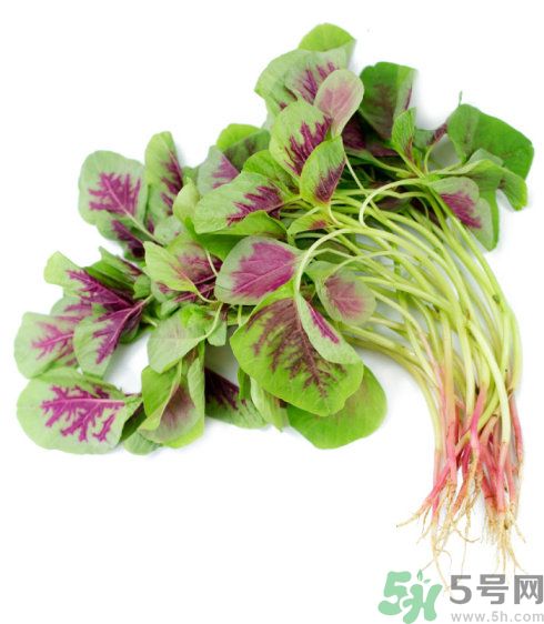 吃莧菜會皮膚過敏嗎？吃莧菜皮膚過敏怎么辦？
