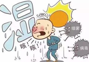 夏季濕氣重怎么辦？夏季祛濕的方法
