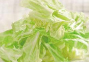 包菜可以和雞蛋一起吃嗎?包菜能和雞蛋同吃嗎?