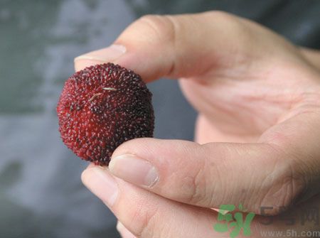 楊梅里面的蟲(chóng)子能吃嗎？楊梅里面的蟲(chóng)子吃了會(huì)怎么樣？