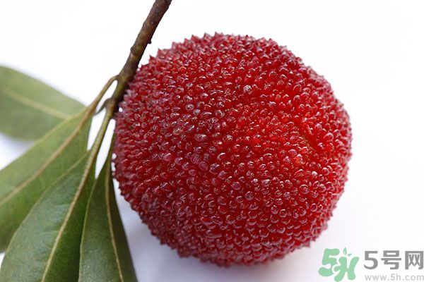 楊梅里面的蟲(chóng)子能吃嗎？楊梅里面的蟲(chóng)子吃了會(huì)怎么樣？